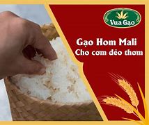 Gạo Hom Mali Của Thái Lan