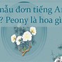 Hóa Đơn Đầu Vào Tiếng Anh Là Gì