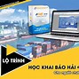 Hướng Dẫn Khai Tờ Khai Nhập Khẩu Trên Ecus5Vnaccs