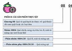 Mã Hs Trong Xuất Nhập Khẩu Là Gì