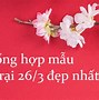 Mẫu Trại 26/3 Đẹp Nhất Việt Nam 2023 Giá Bao Nhiêu