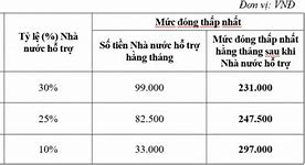 Nhà Nước Hỗ Trợ Đóng Bảo Hiểm Tự Nguyện