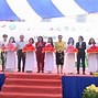 Xoài Keo Xuất Khẩu